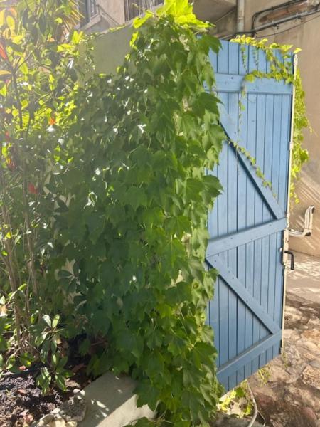 Bord De Mer, Magnifique De 150m2 Avec Jardin * Marseilles